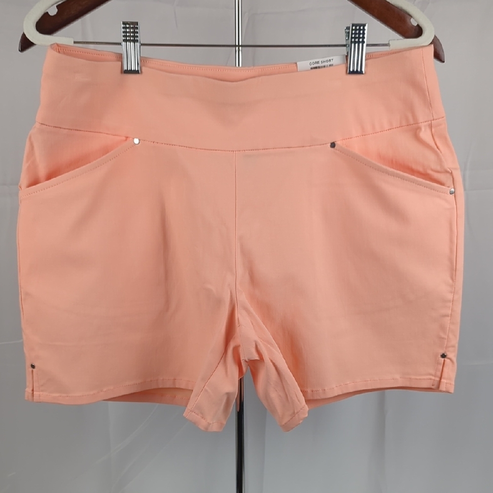 INC International Concepts High Waist Peach Shorts